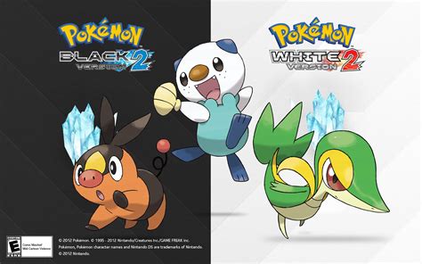 black 2 white 2|black 2 white 2 starters.